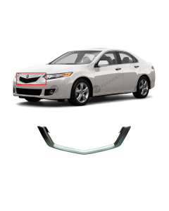 Grille Molding for Acura TSX 2009-2010